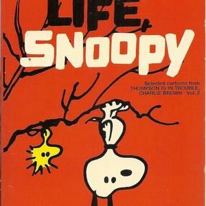 Meet your Posher, Sandy